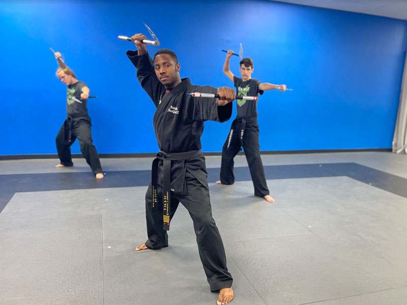 Awesome Martial Arts 12, Awesome Sports and Camps