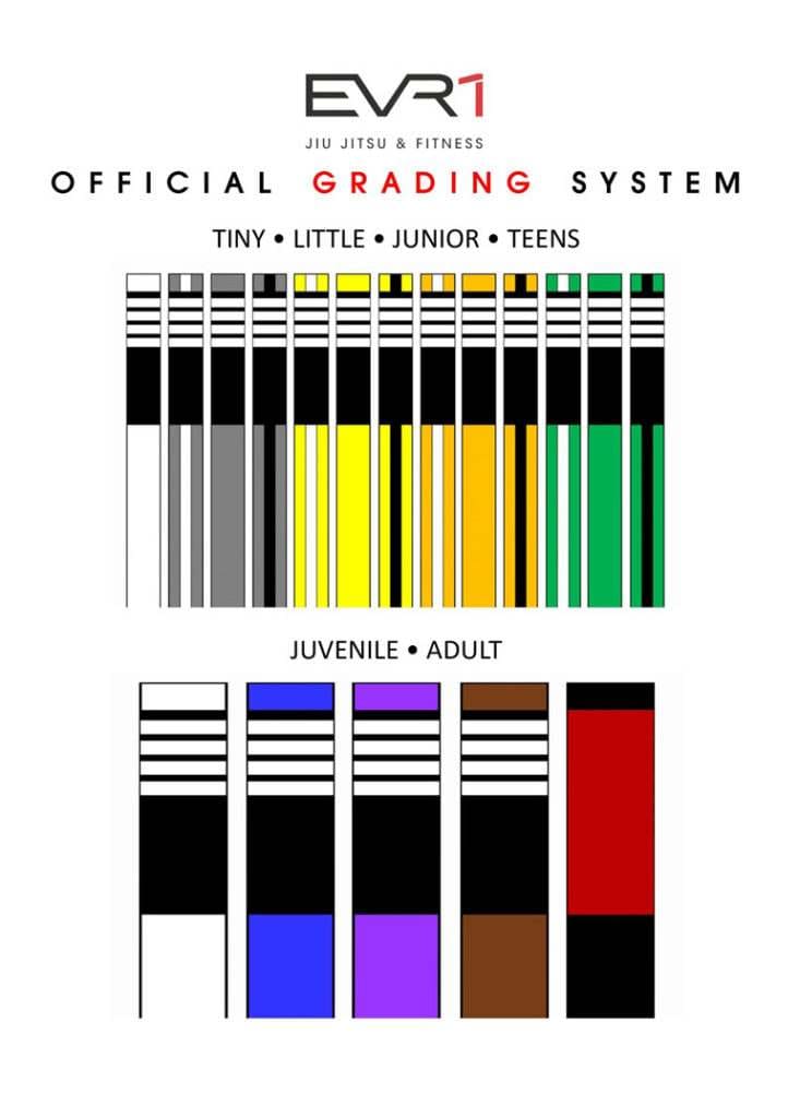 Methodology 1 733x1024, Everyone Jiu Jitsu