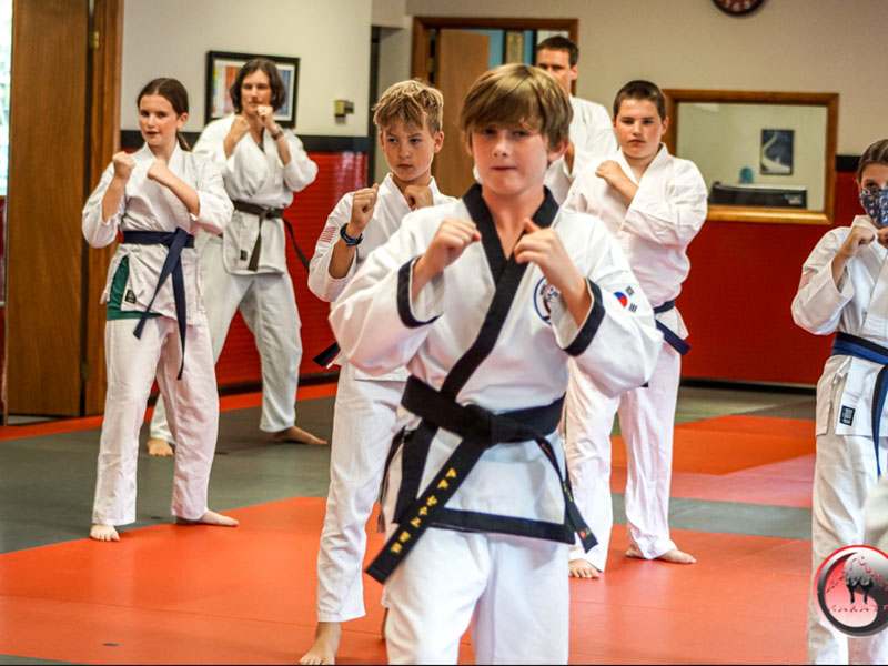 Adult Karate School