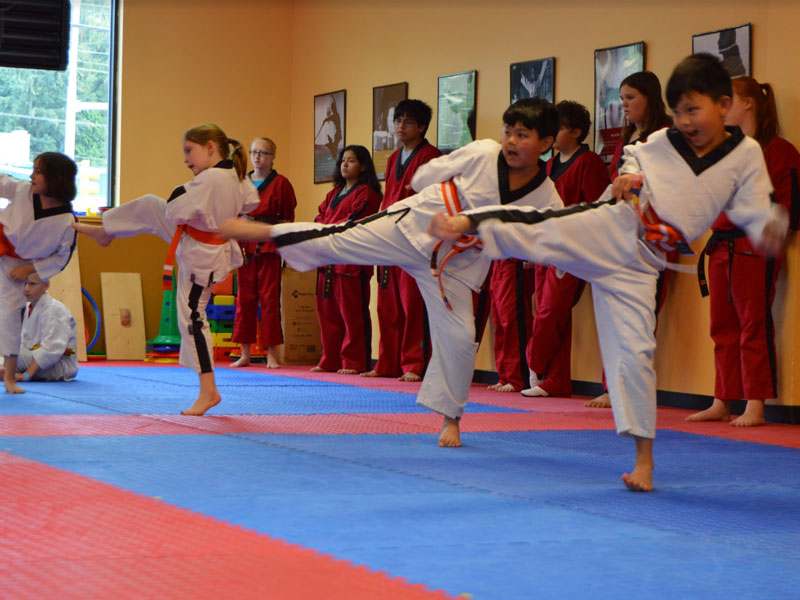 Kids Martial Arts 4, West Family Martial Arts - Woodinville