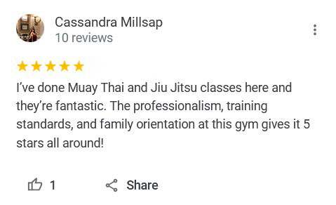 Adult Jiu Jitsu2, Premier Fight and Fitness - Spring Valley