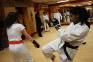 is taekwondo the same as karate