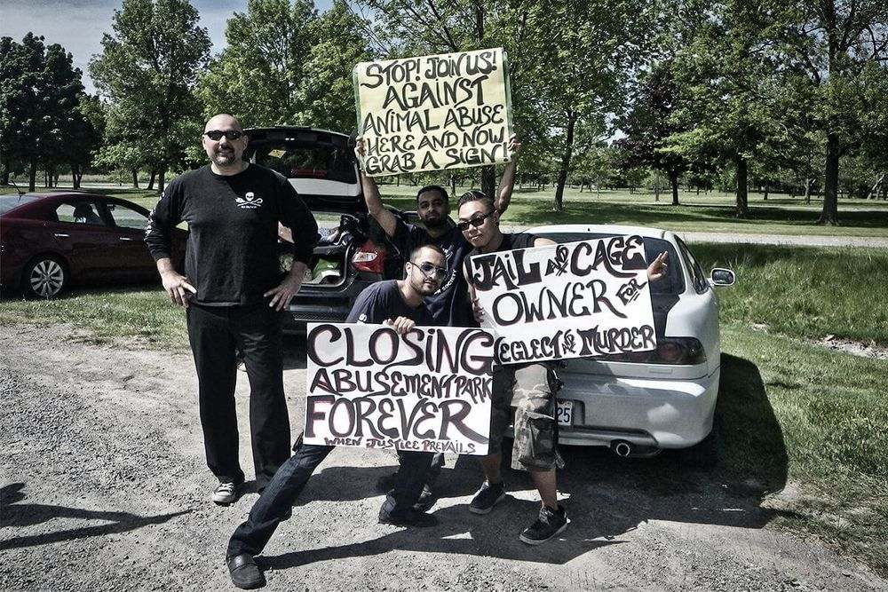 Cmac Mississauga Earth Awareness Charity Work Against Marineland, CMAC Dapo Mississauga