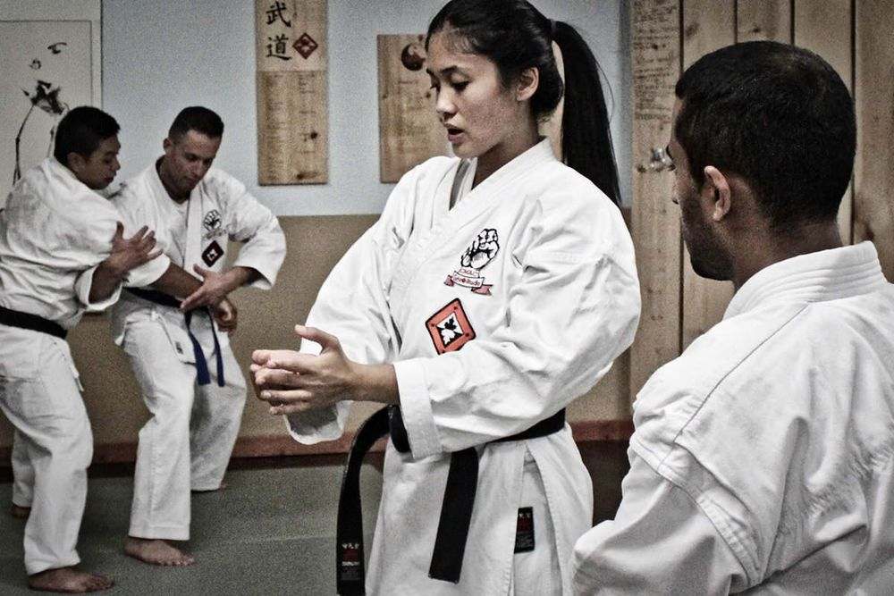 Martial Arts Mississauga Bunkai Instruction 2012, CMAC Dapo Mississauga