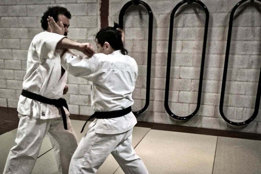 adult karate program