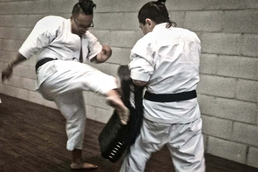 Martial Arts Mississauga Karate Training 08 1024x683, CMAC Dapo Mississauga