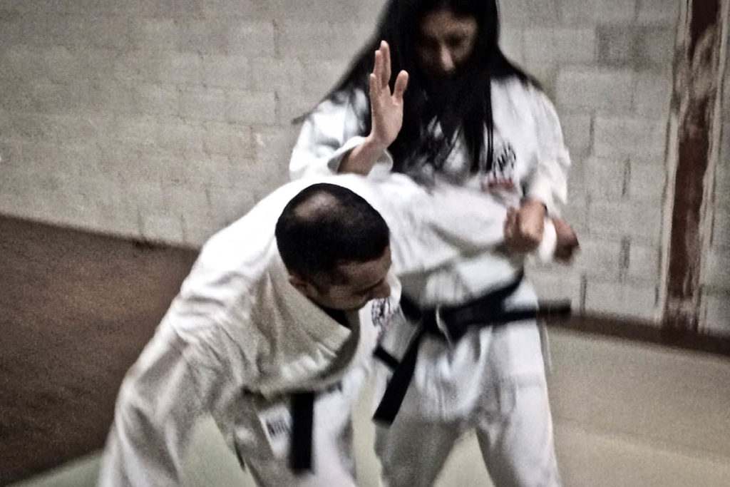Martial Arts Mississauga Karate Training 19 1024x683, CMAC Dapo Mississauga
