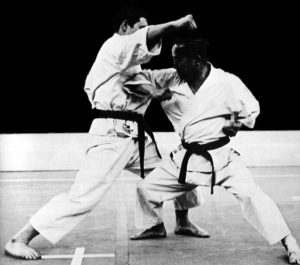 is karate and taekwondo the same