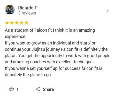 Adults4, Falcon Jiu Jitsu Keller