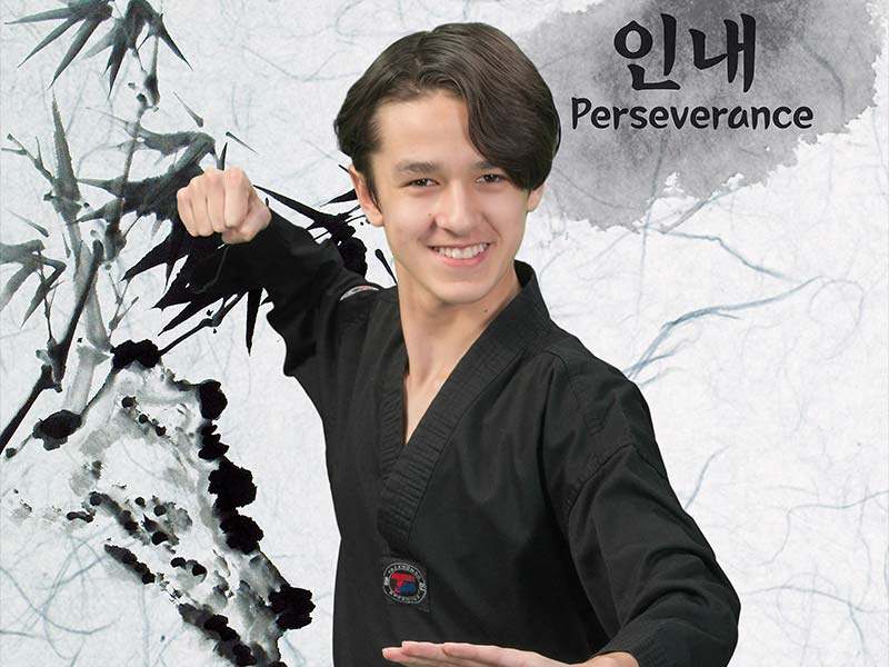 teen martial arts classes in st. louis