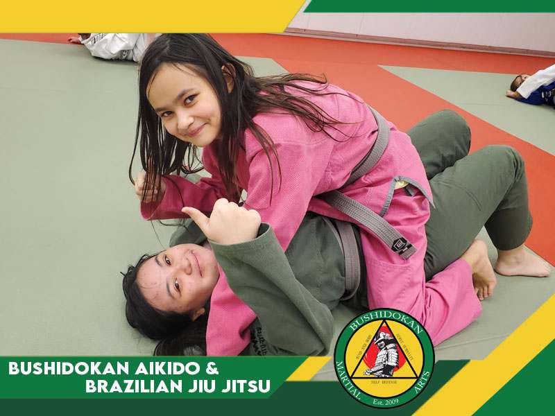 Teen Jiu Jitsu Classes 5, Bushidokan Martial Arts Rochester Hills