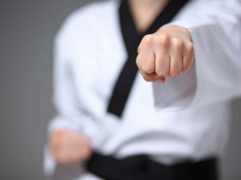 Martial Arts Classes in Palm Harbor