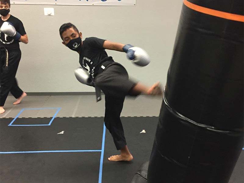 Adult Martial Arts Classes in Palm Harbor