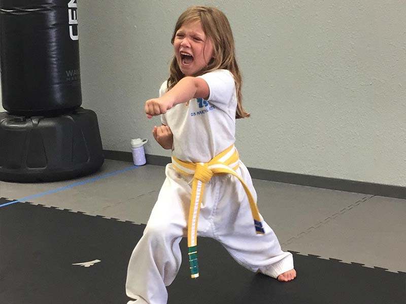 Martial arts classes in Palm Harbor