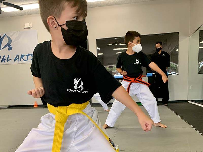 Kids Martial Arts classes in Palm Harbor