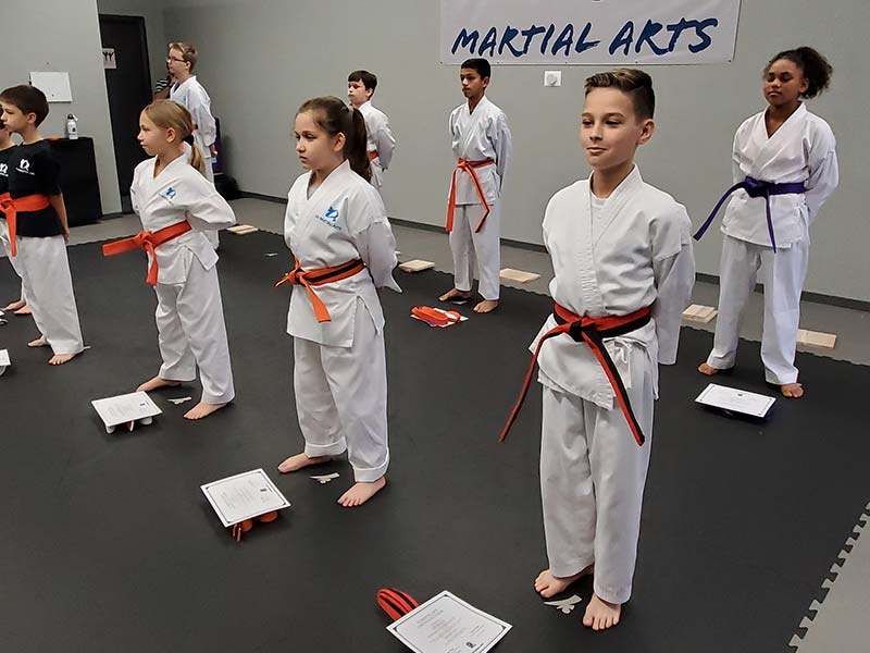 Martial Arts for Anxiety and Depression