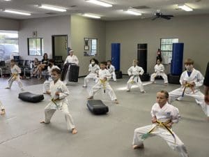 benefits of taekwondo for kids Palm Harbor