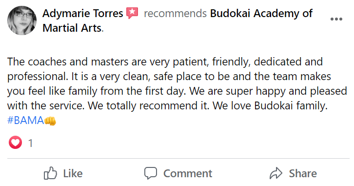 T1, Budokai Academy of Martial Arts