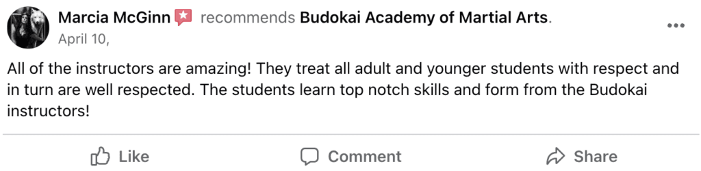 Adult3 1024x250, Budokai Academy of Martial Arts