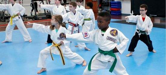 Not Perfect Blog, Raleigh Karate International